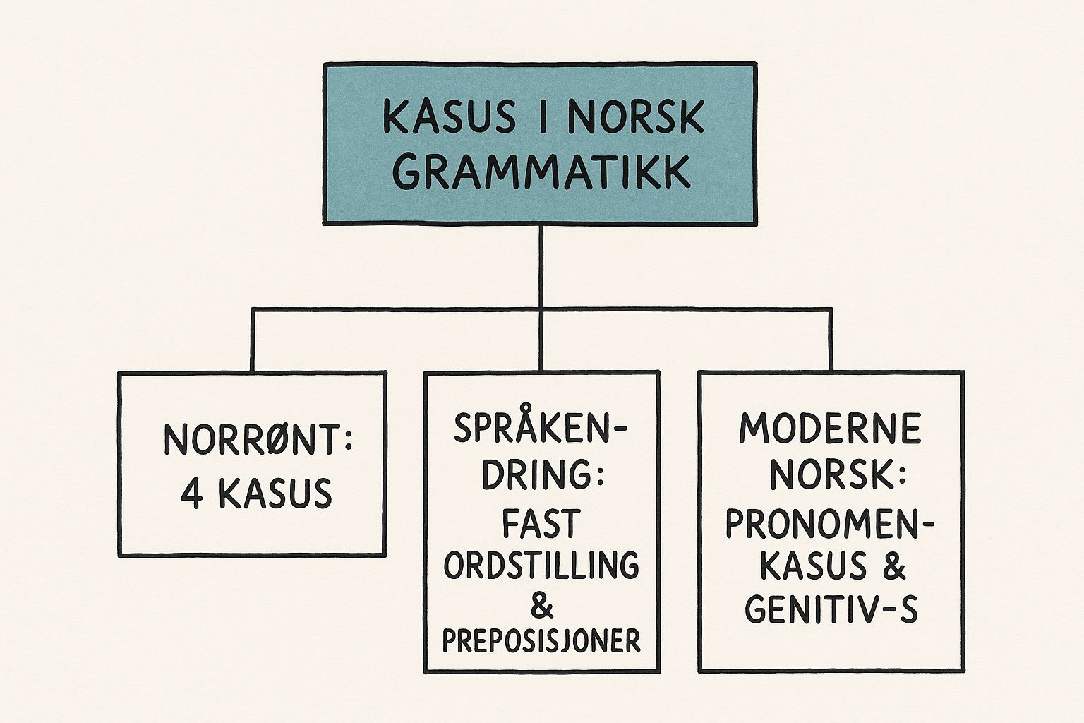 Infographic about hva er kasus
