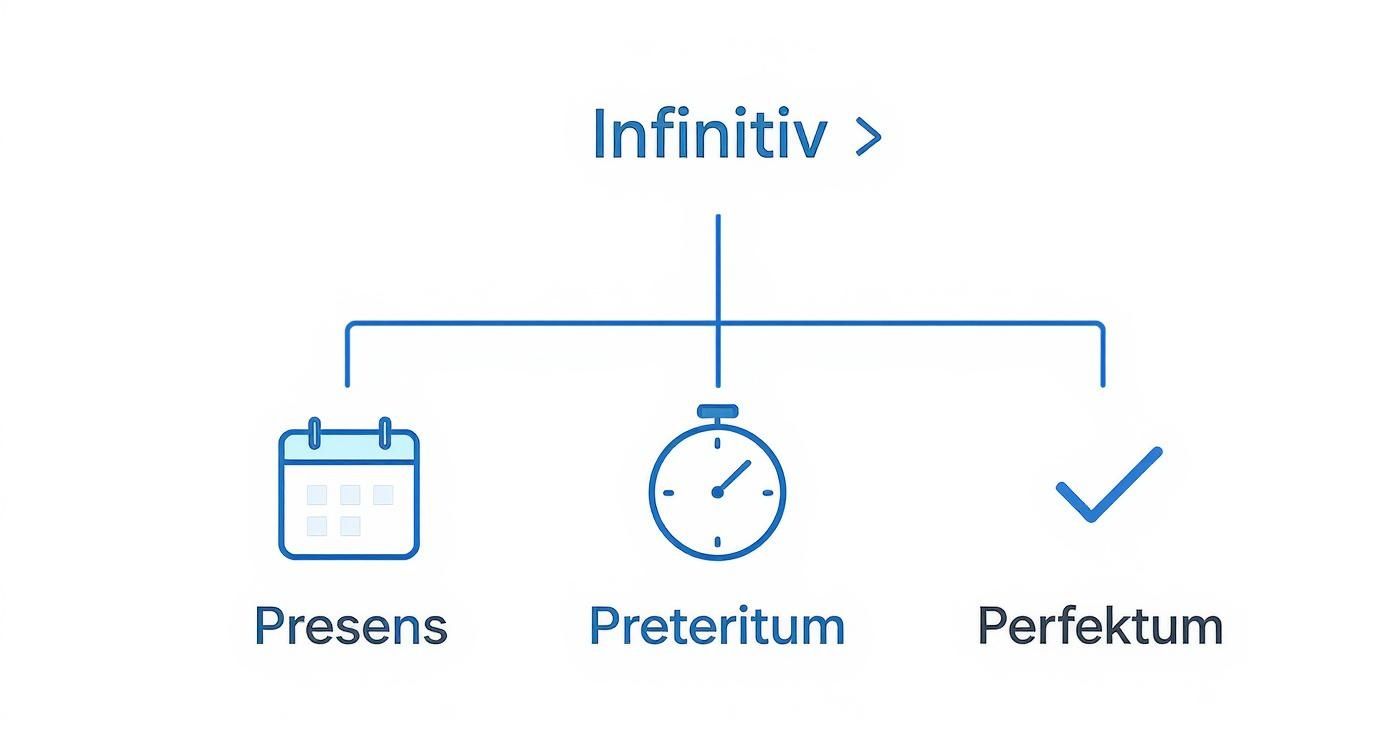 Infographic about hva er verb