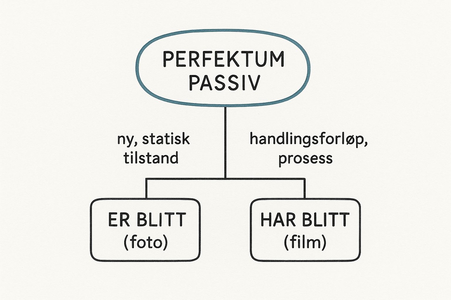 Infographic about er blitt eller har blitt