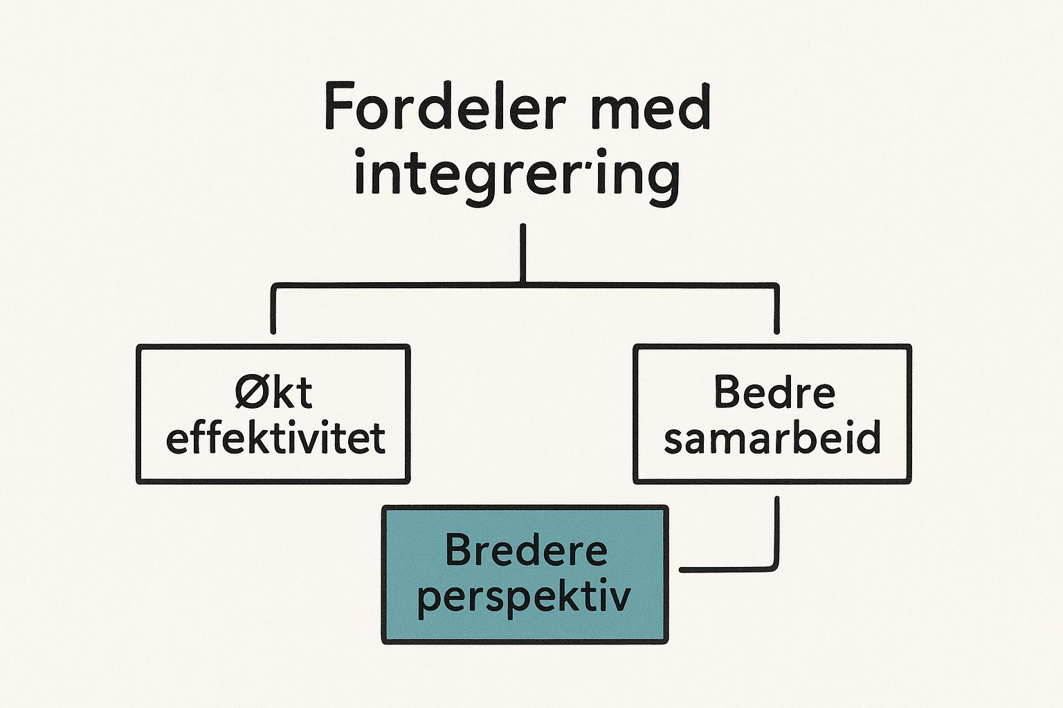 Infographic about hva betyr integrere