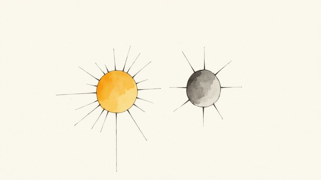 To piler som peker i motsatt retning, en svart og en hvit, symboliserer kontrast.