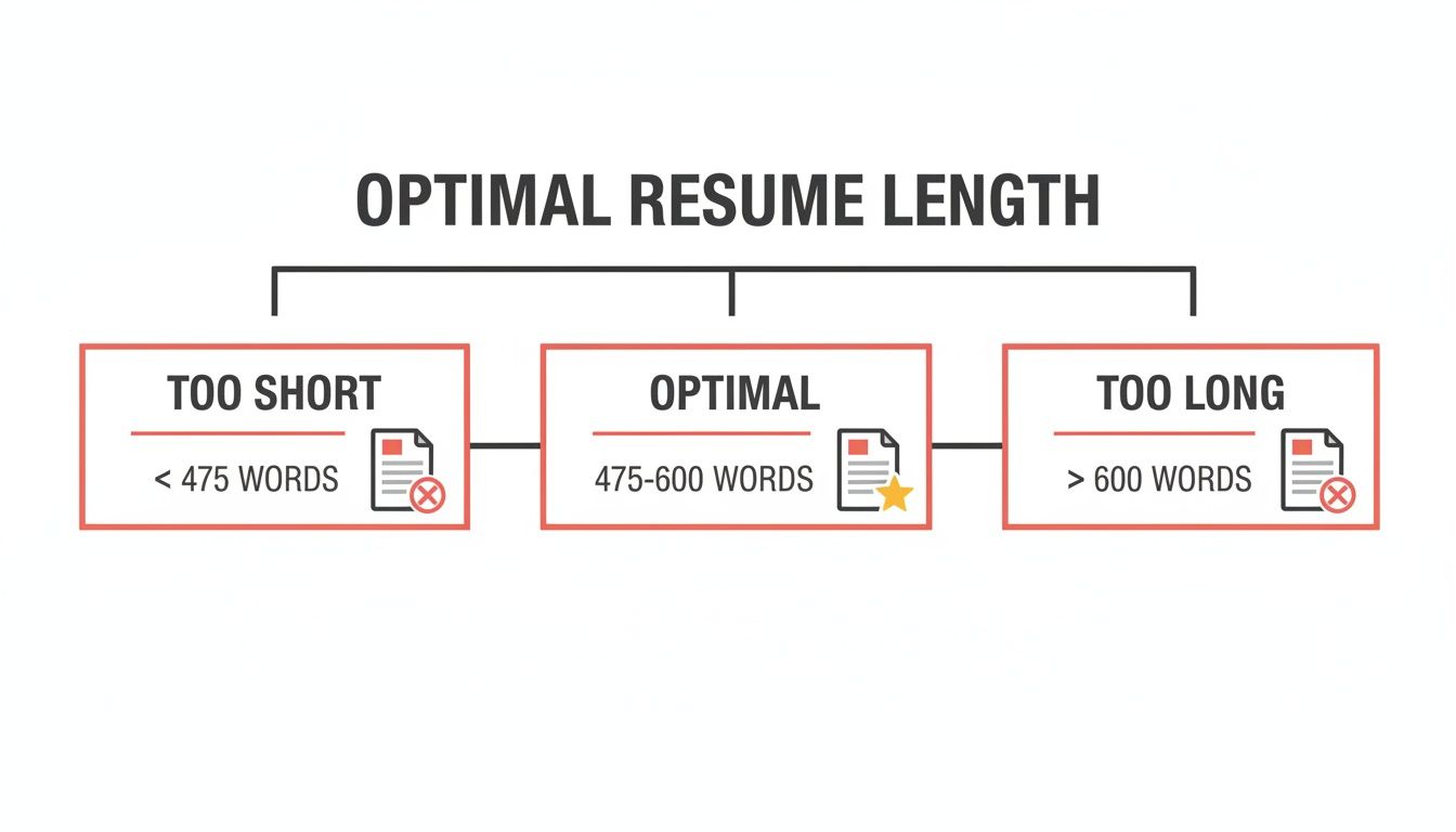 Flowchart illustrating optimal resume length, categorized by word count as too short, optimal, or too long.