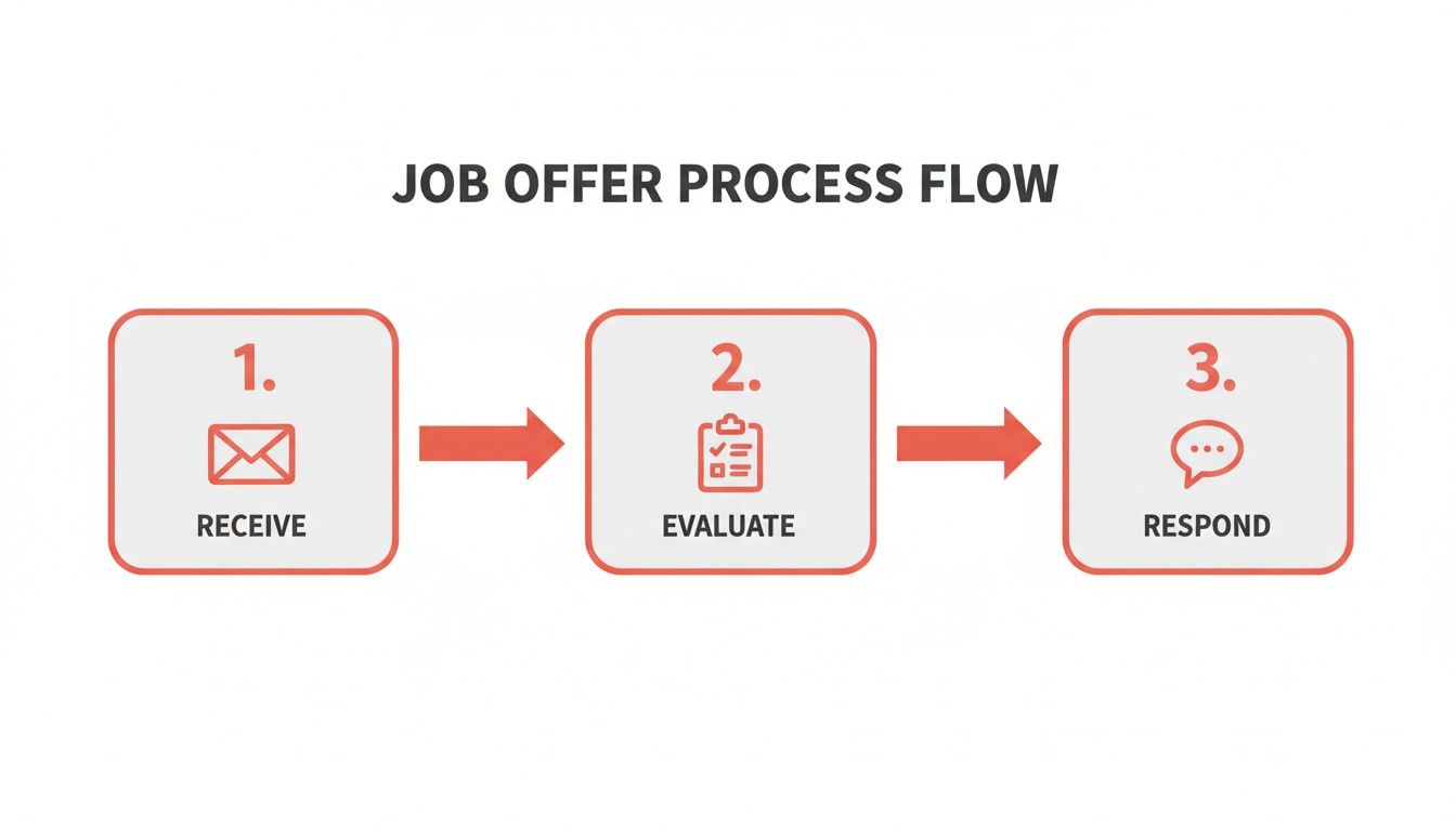 Flowchart illustrating the three-step job offer process: receive, evaluate, and respond.