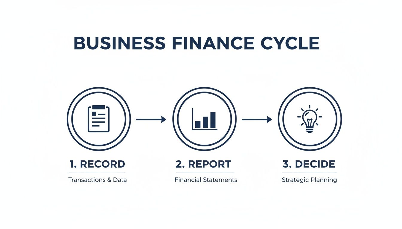 A diagram illustrating the business finance cycle with steps: Record, Report, and Decide.