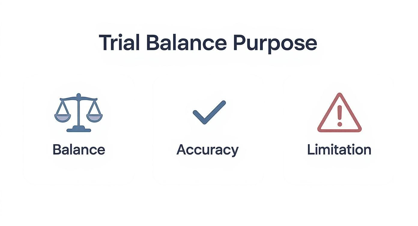 Infographic summarizing the trial balance's purpose with icons for balance, accuracy, and limitations.