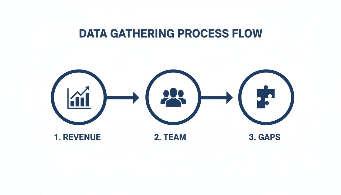 Data gathering process flow diagram showing steps for revenue analysis, team assessment, and identifying gaps.