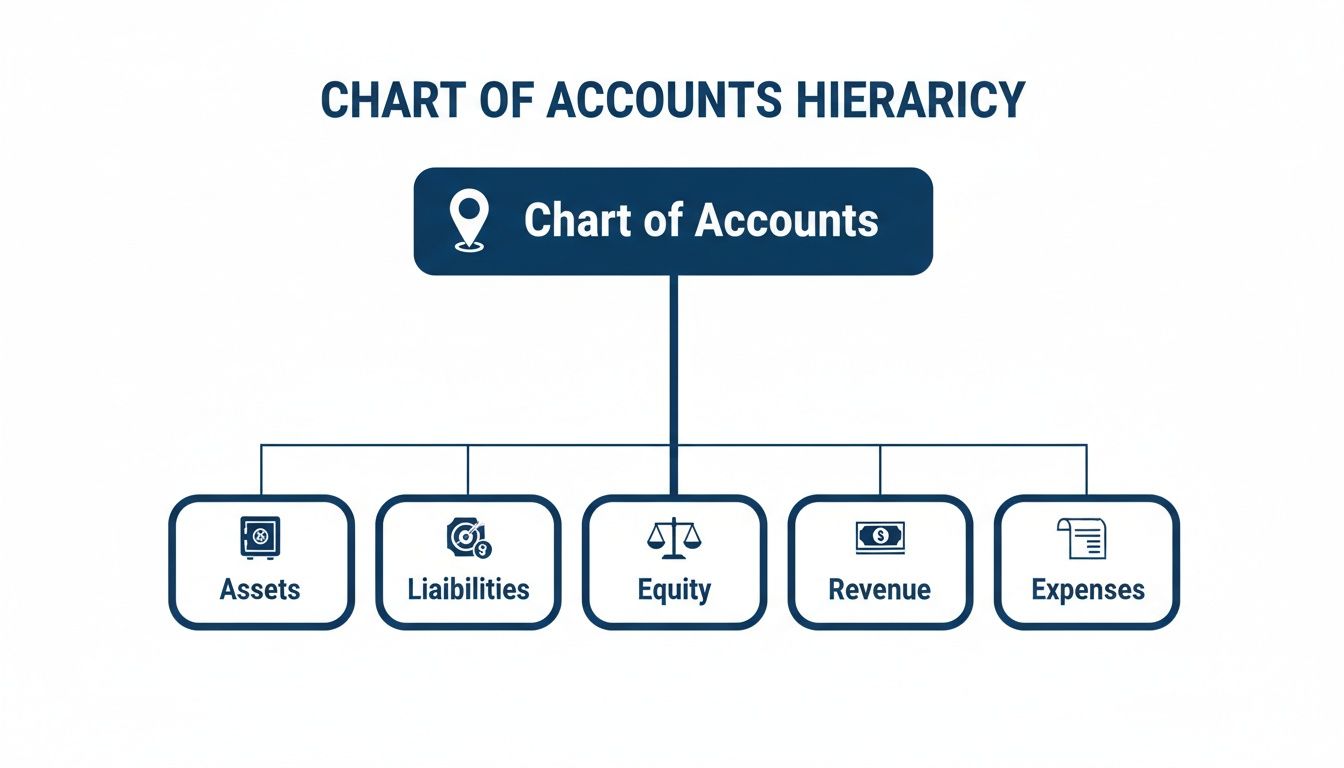 A diagram illustrating the chart of accounts hierarchy, showing its five main categories: assets, liabilities, equity, revenue, and expenses.