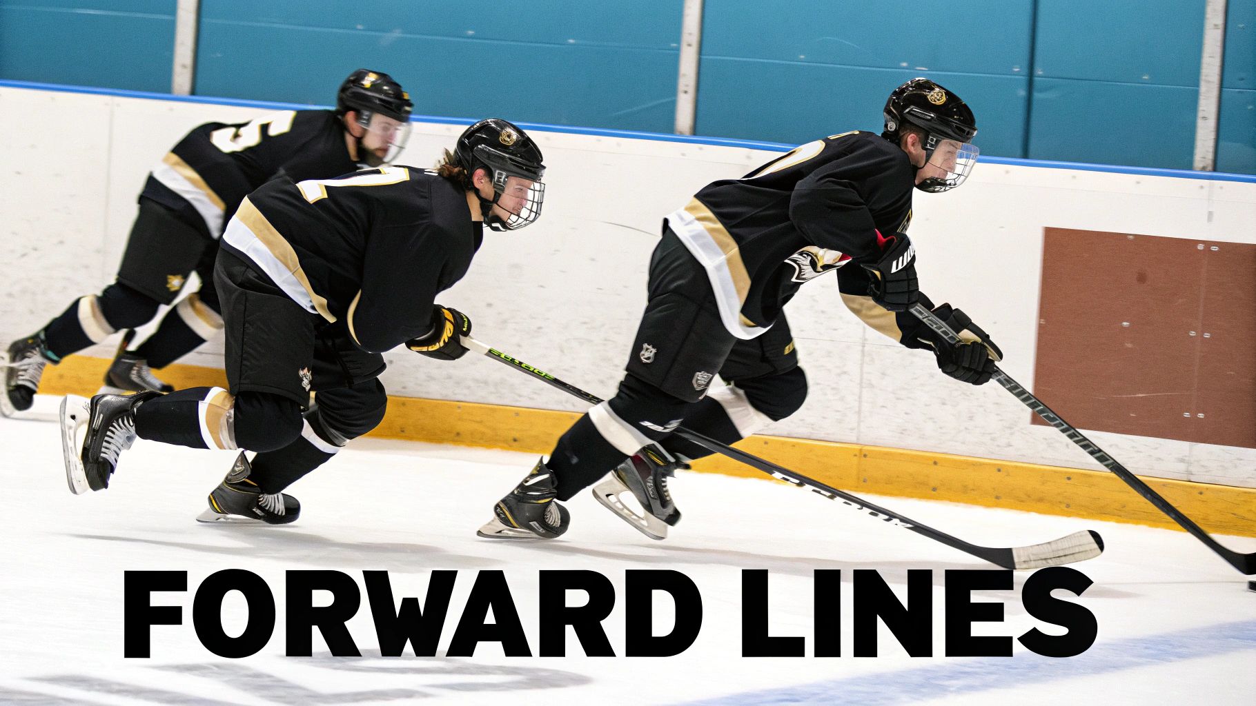 Nashville Predators forwards in action during a game