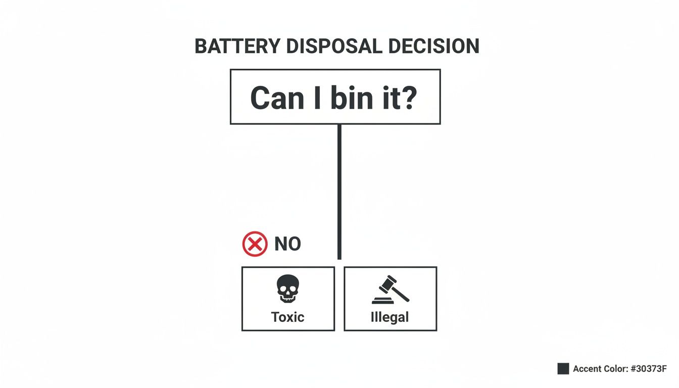 A battery disposal flowchart shows asking 'Can I bin it?' leading to 'NO', then 'Toxic' or 'Illegal'.