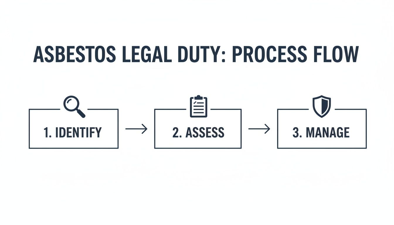 Asbestos legal duty process flow diagram, outlining steps to identify, assess, and manage asbestos risks.