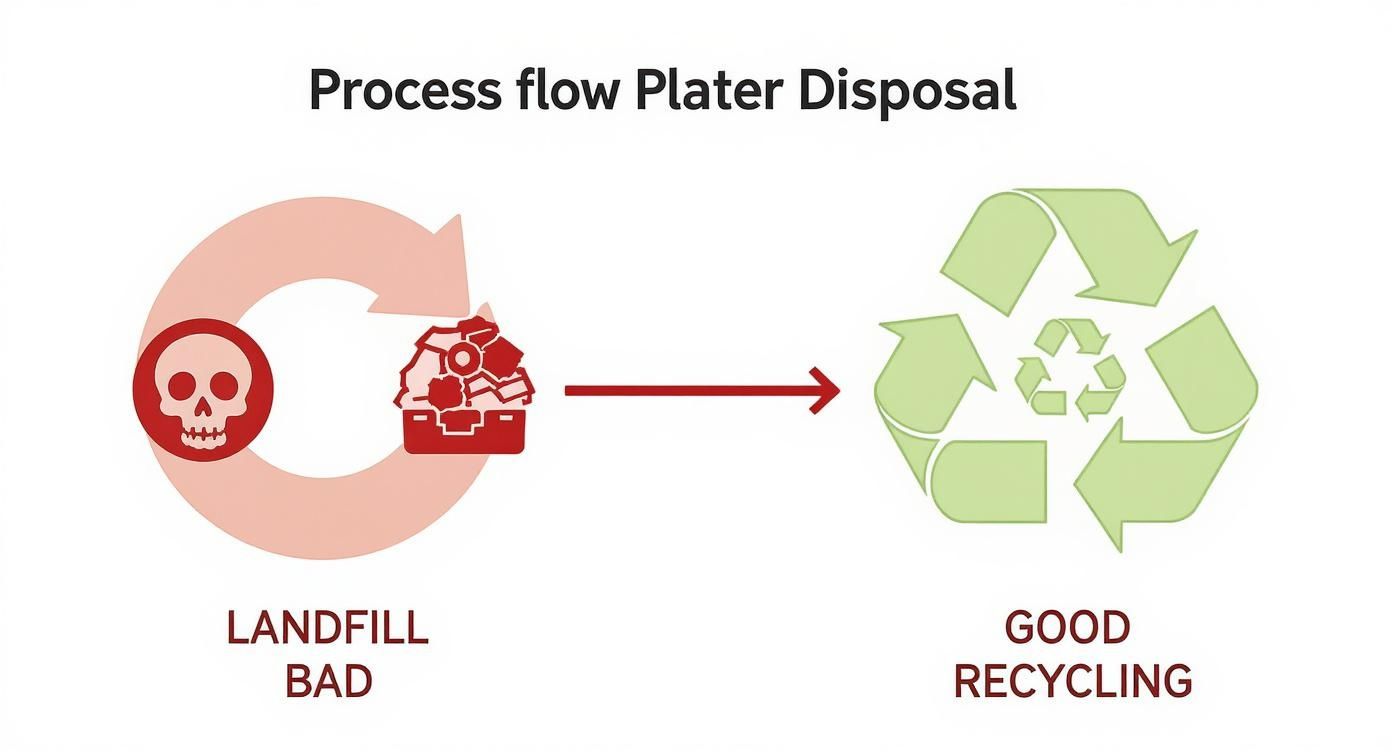 Infographic about how to recycle plaster