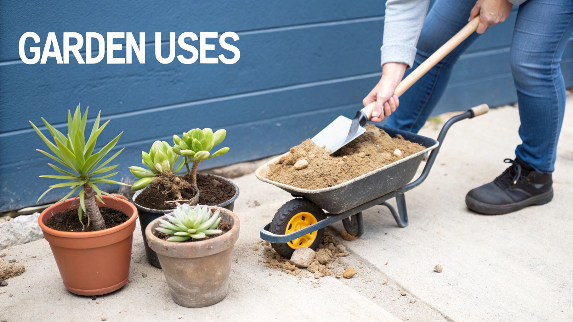 A person shoveling sand into a wheelbarrow for gardening, surrounded by potted plants.