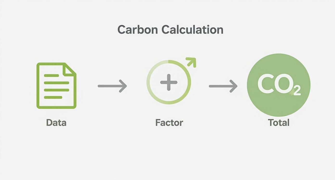 Infographic about how to calculate carbon footprint
