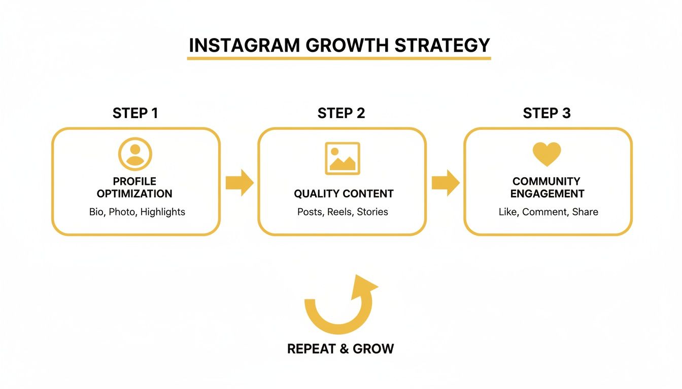 How to Grow Instagram for Business and Gain Real Followers - Sup Growth