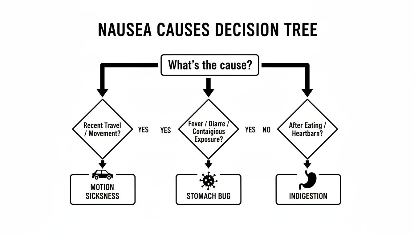 A decision tree flowchart illustrating the causes of nausea, including motion sickness, stomach bug, and indigestion.