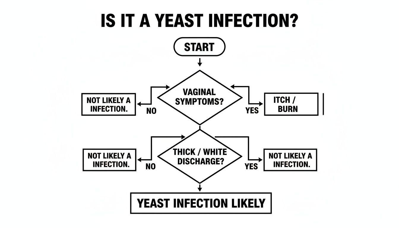 Flowchart illustrating a self-assessment guide to determine the likelihood of a yeast infection.