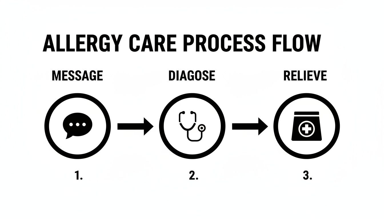 A flowchart illustrating the allergy care process, with steps for message, diagnose, and relieve.