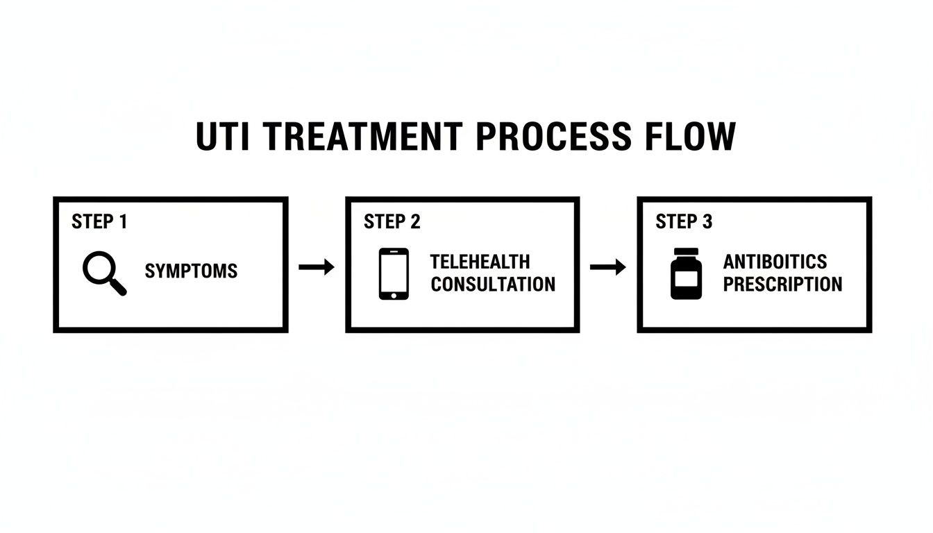 A clear infographic detailing the three-step process for UTI treatment, from symptoms to prescription.