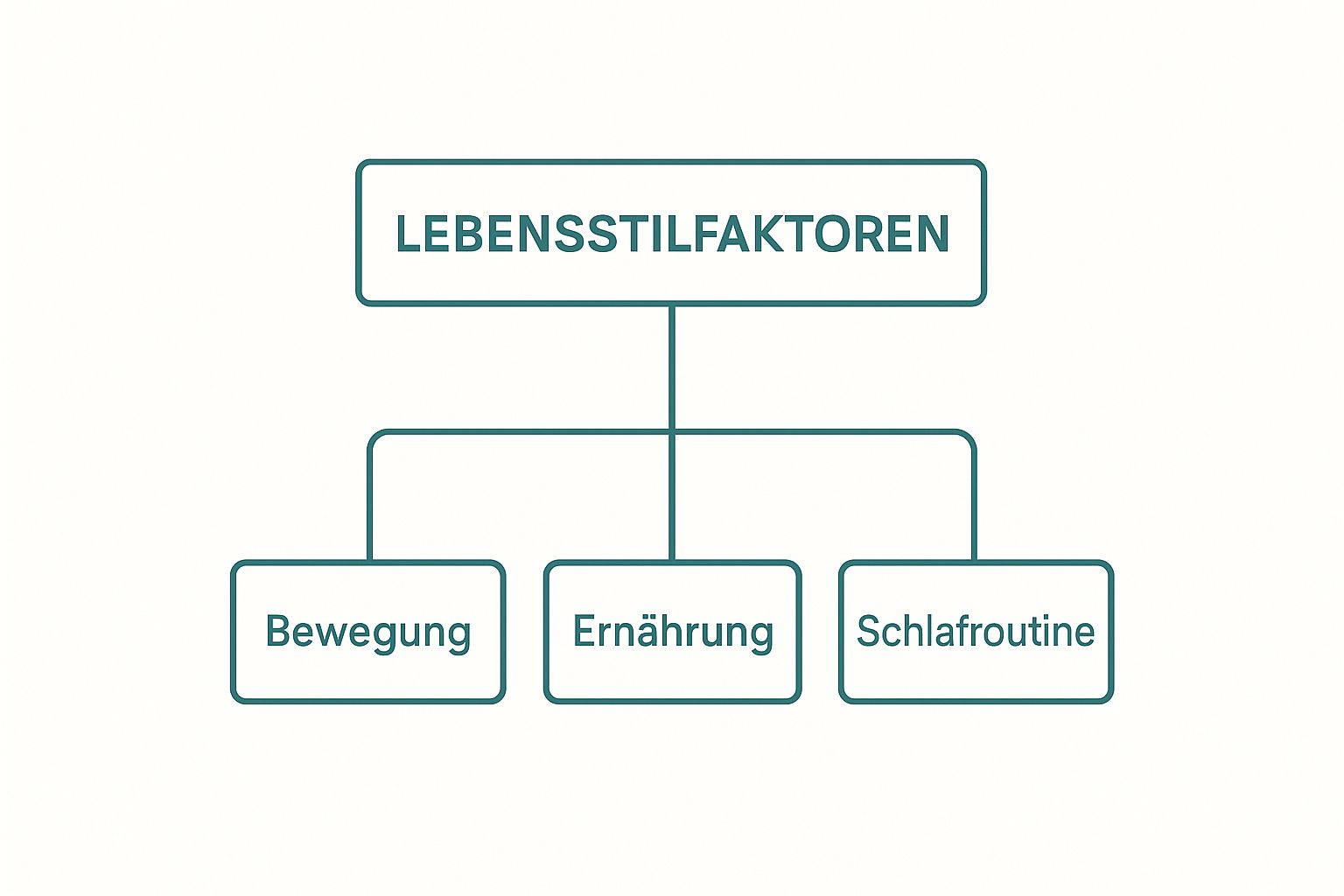 Lebensstil Faktoren Übersicht