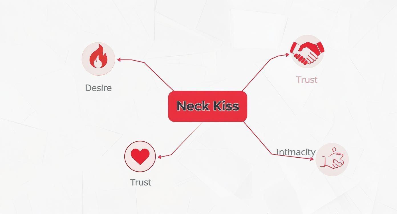 Infographic about kiss on the neck means