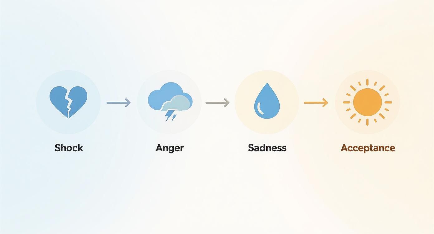 Infographic about post breakup stages