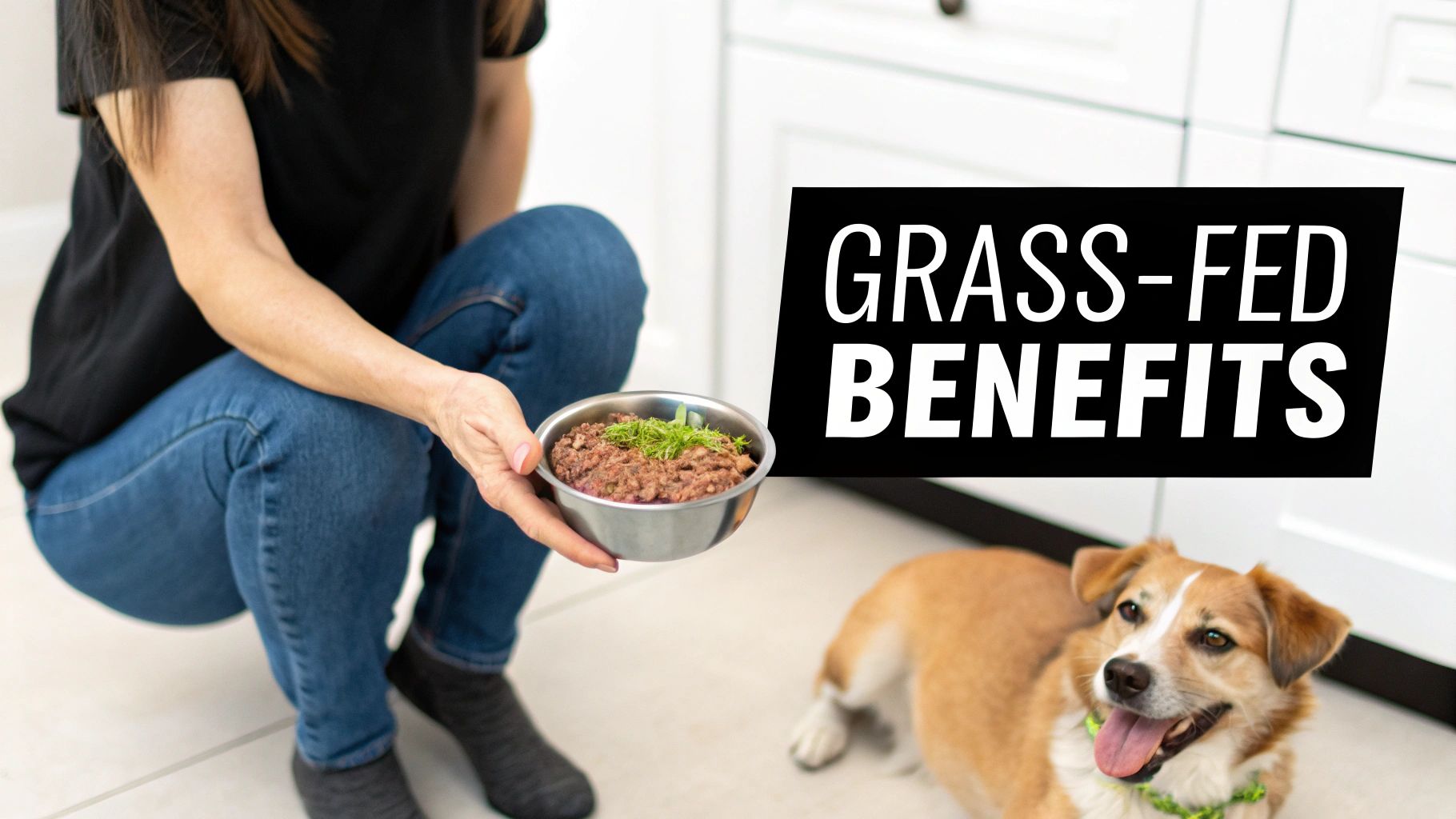 A happy dog eating a meal topped with a beef supplement in a bright, modern kitchen.