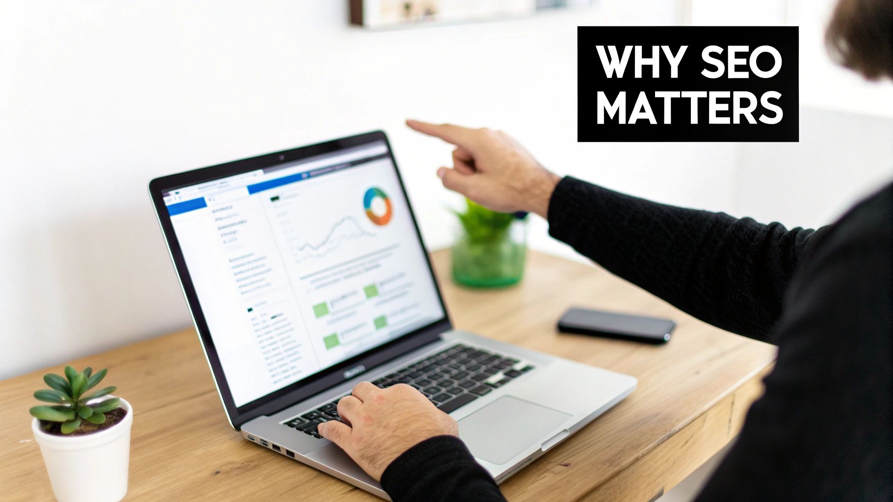 SEO traffic chart illustrating why do business need seo services