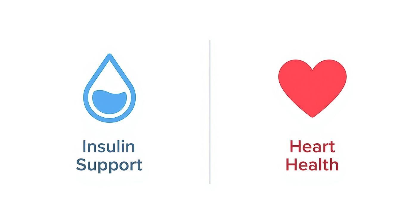 Infographic summarizing health benefits of blueberries for dogs, showing icons for insulin support and heart health.