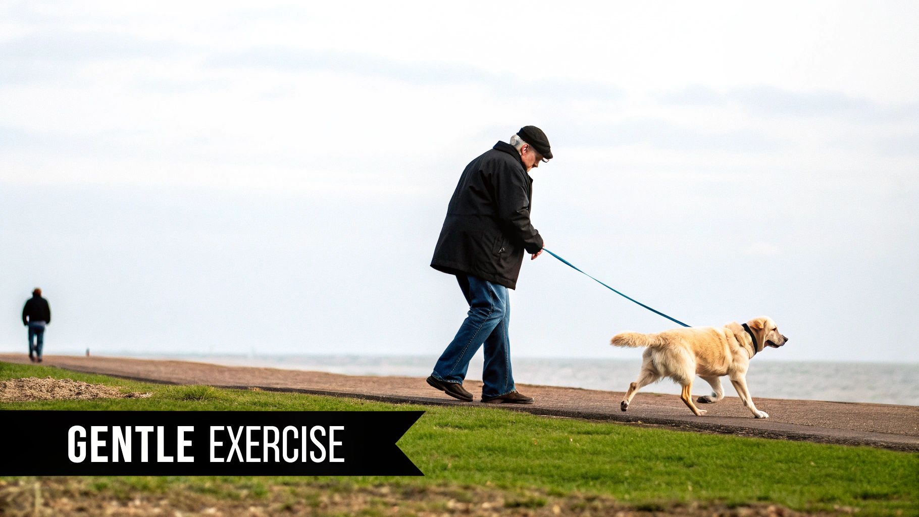 A senior man walks his golden retriever on a leash along a peaceful seaside path.