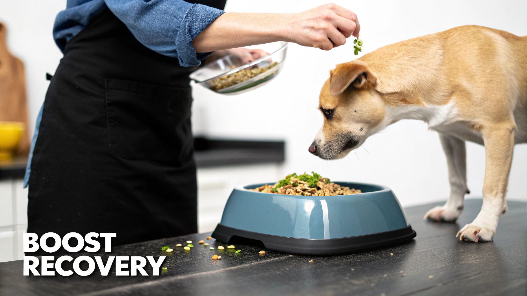 A person in an apron adds green herbs to a dog's food bowl, watched by the eager dog.