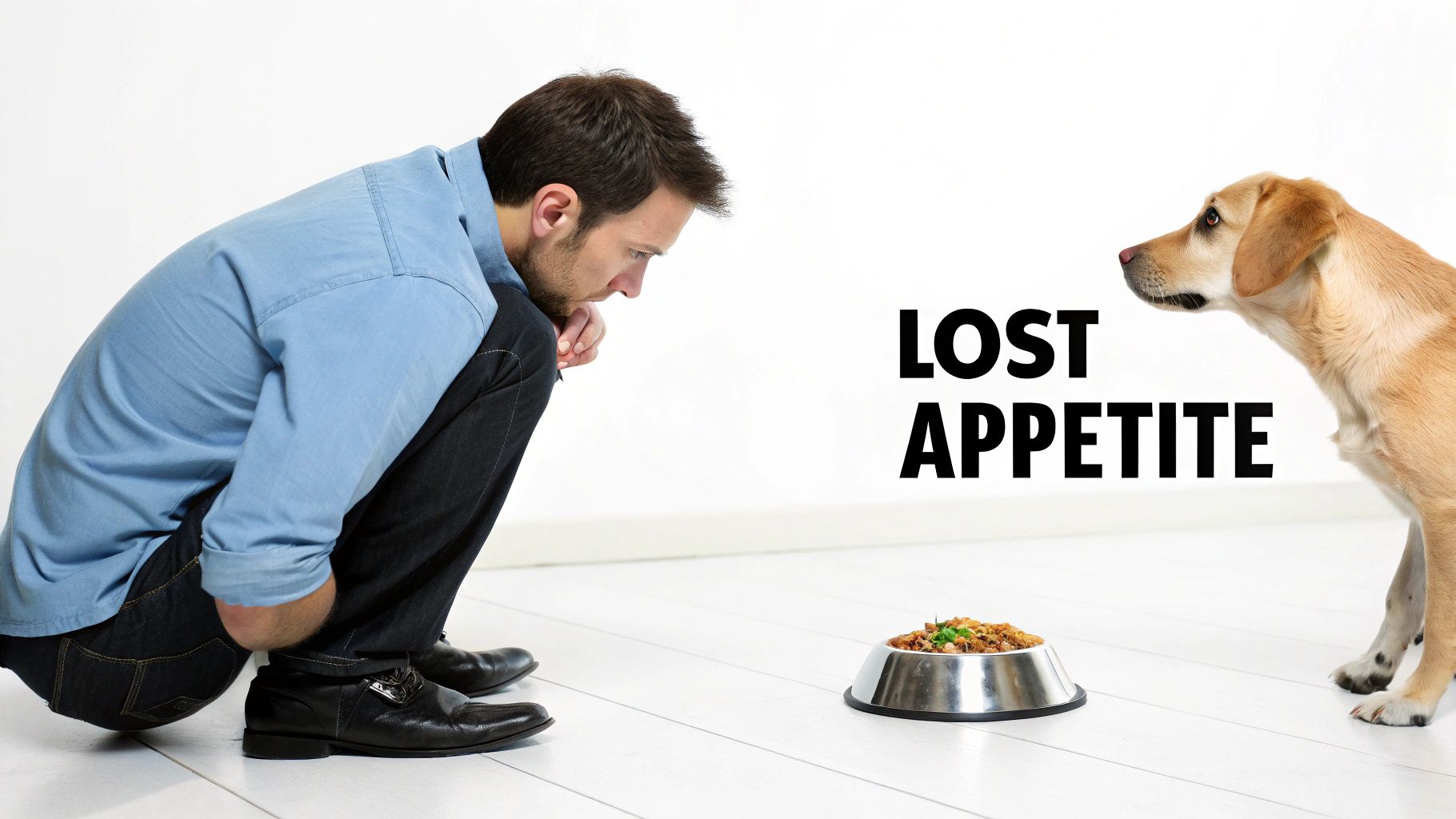 A sad-looking Golden Retriever lying on the floor next to its untouched food bowl.