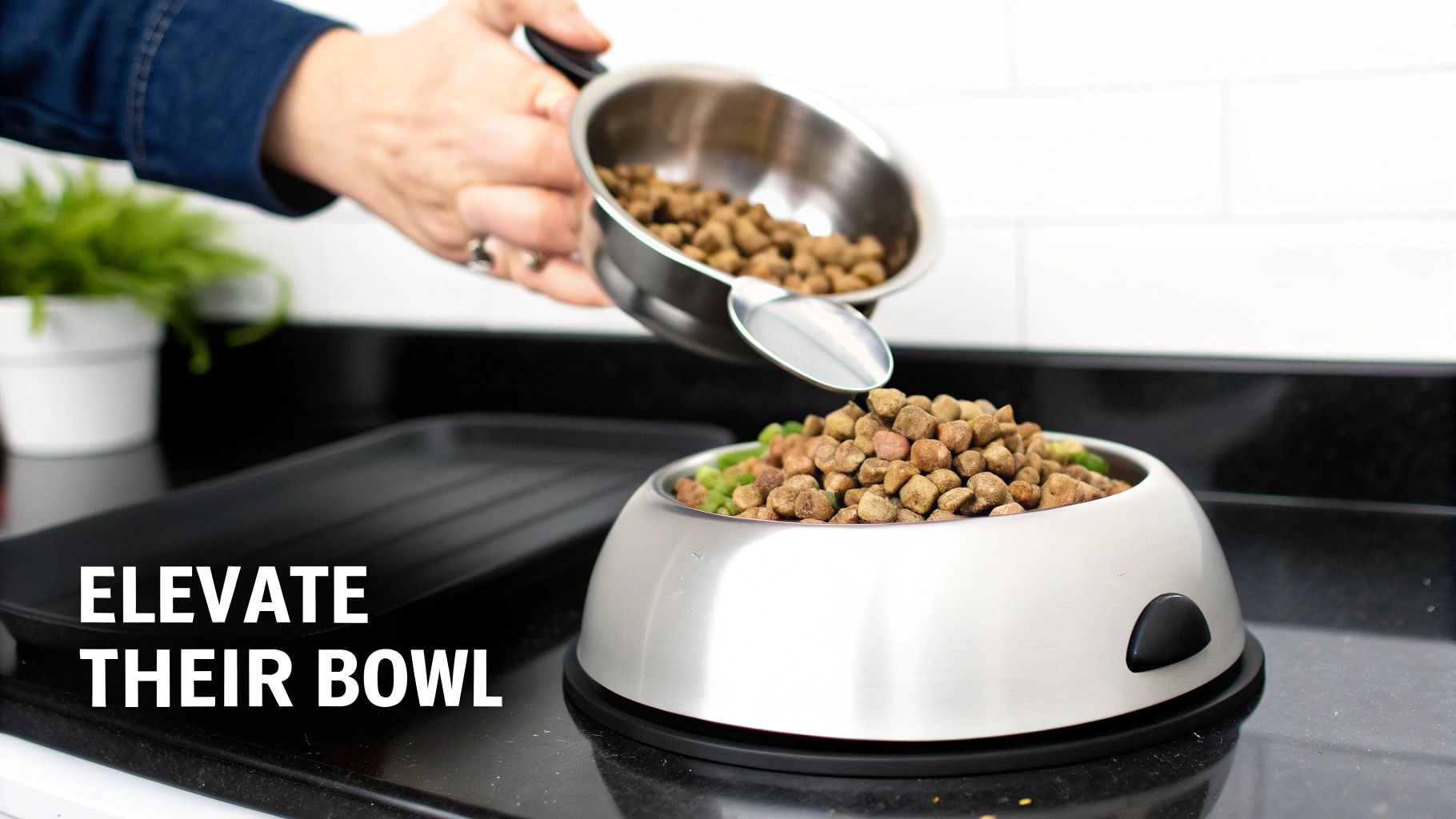 A person pours dry dog food from a silver scoop into an elevated stainless steel dog bowl on a counter.