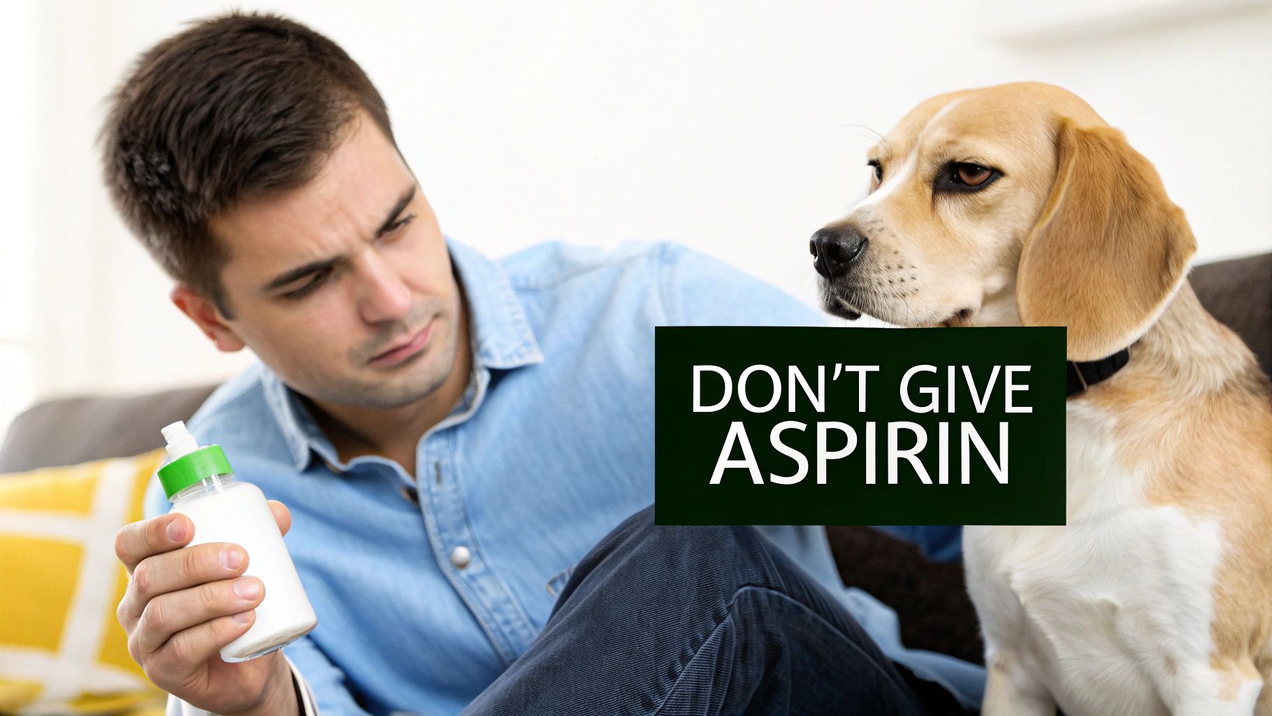 A man holds a medicine bottle, looking at his beagle next to a 'DON'T GIVE ASPIRIN' warning.
