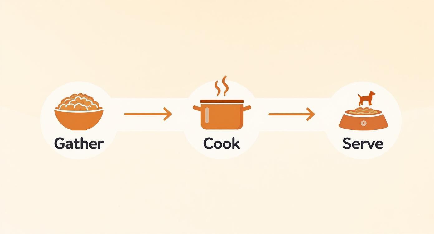A simple infographic illustrating the steps to prepare dog food: gather ingredients, cook, and serve.