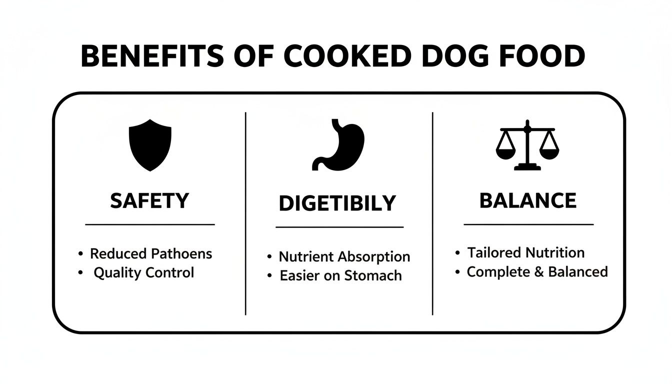 Infographic illustrating the benefits of cooked dog food, highlighting safety, digestibility, and balance.