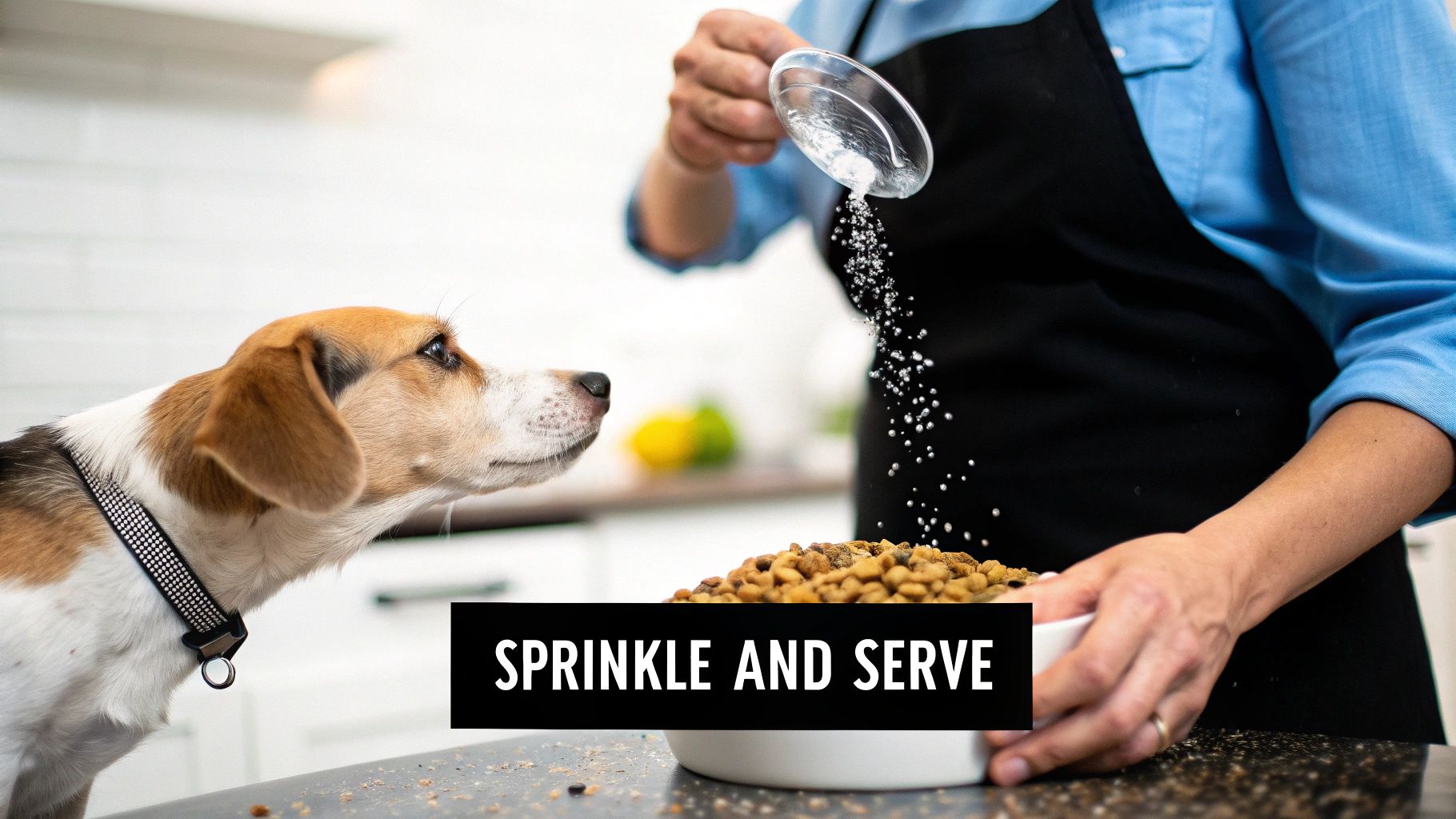 A person sprinkling ChowPow meal topper onto a bowl of dog kibble.