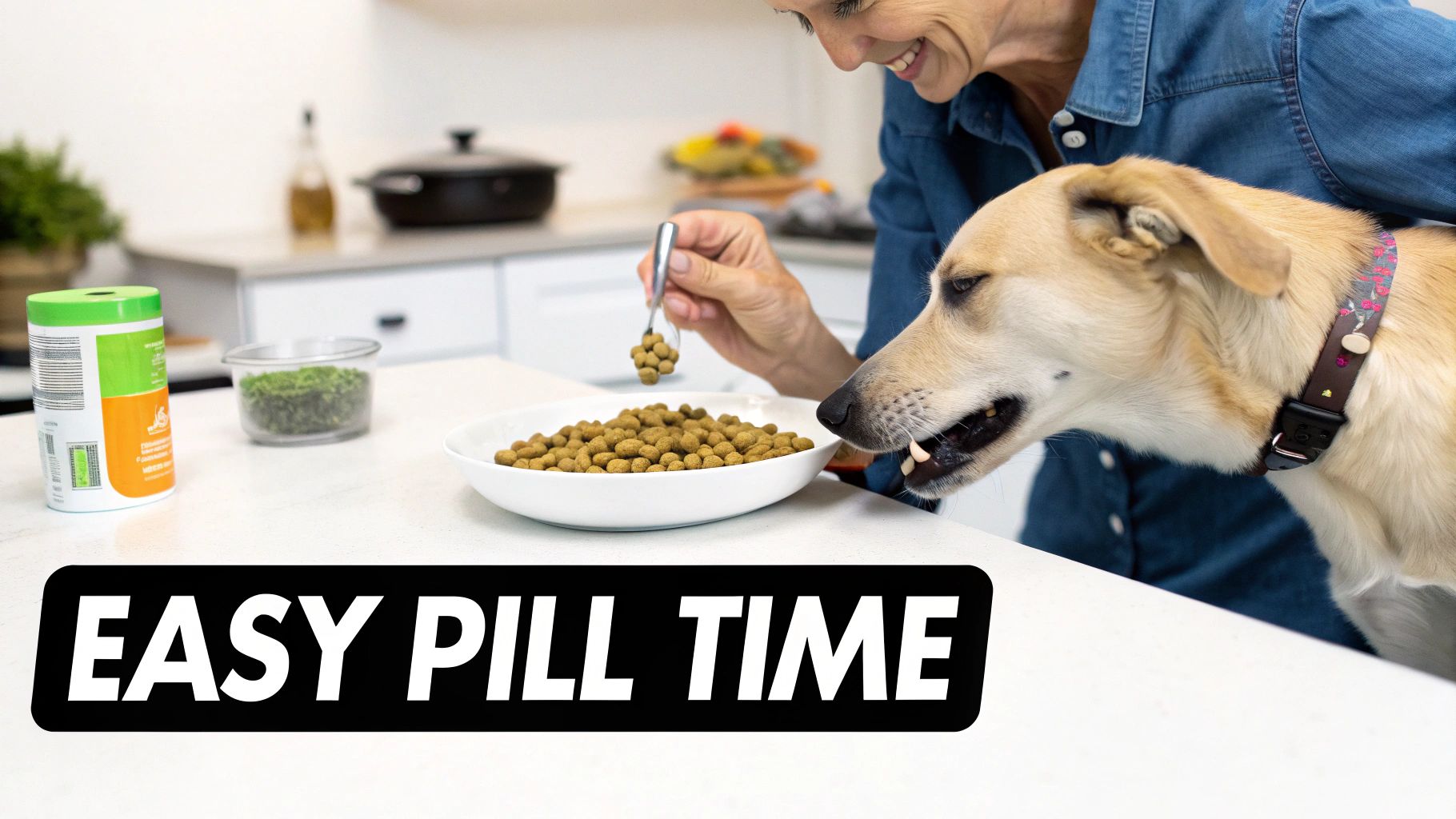 A smiling woman feeds her dog kibble from a spoon, alongside a bowl of dog food.