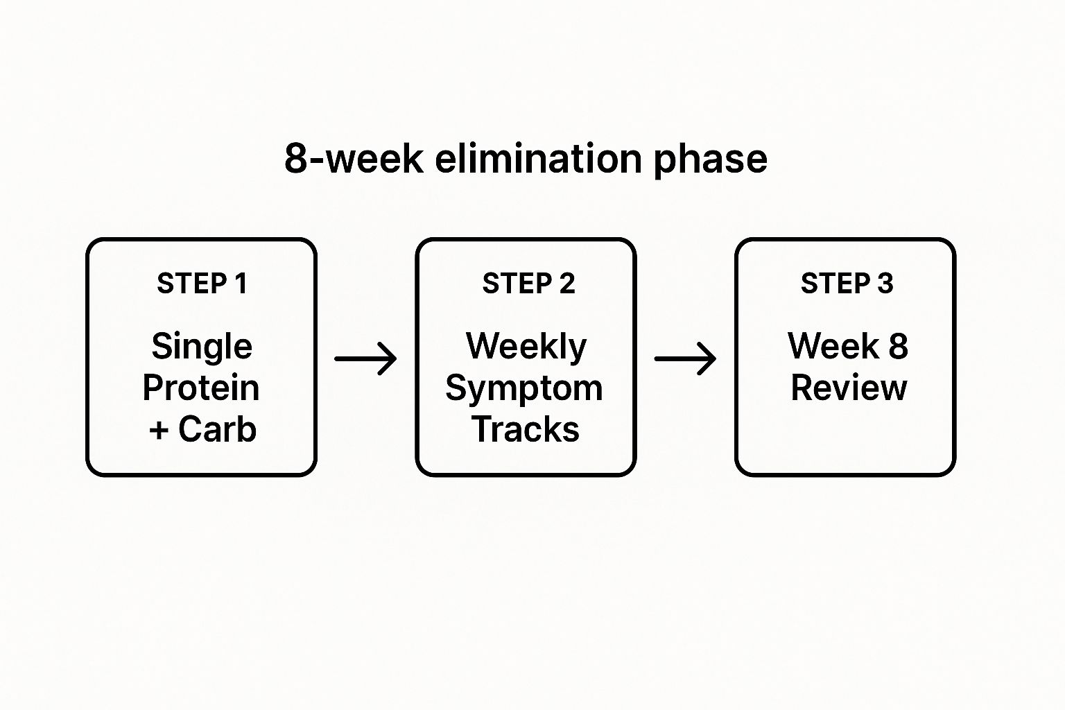 Infographic about dog food allergy elimination diet