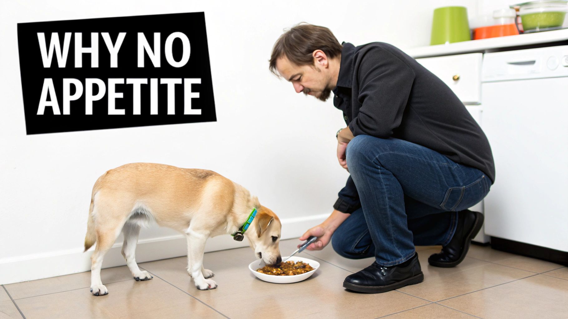 A sad-looking golden retriever laying its head next to a full bowl of kibble.