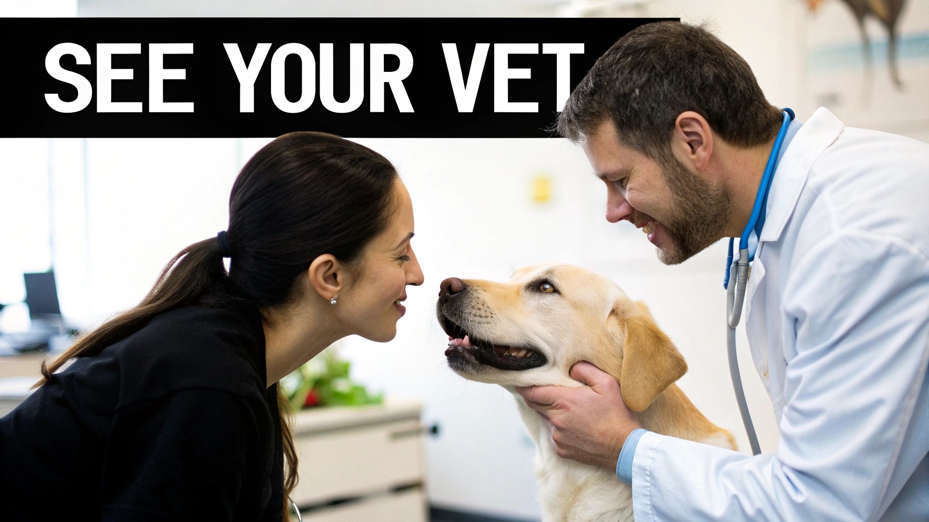 Happy veterinarian and pet owner bonding with a golden retriever dog at a vet clinic.