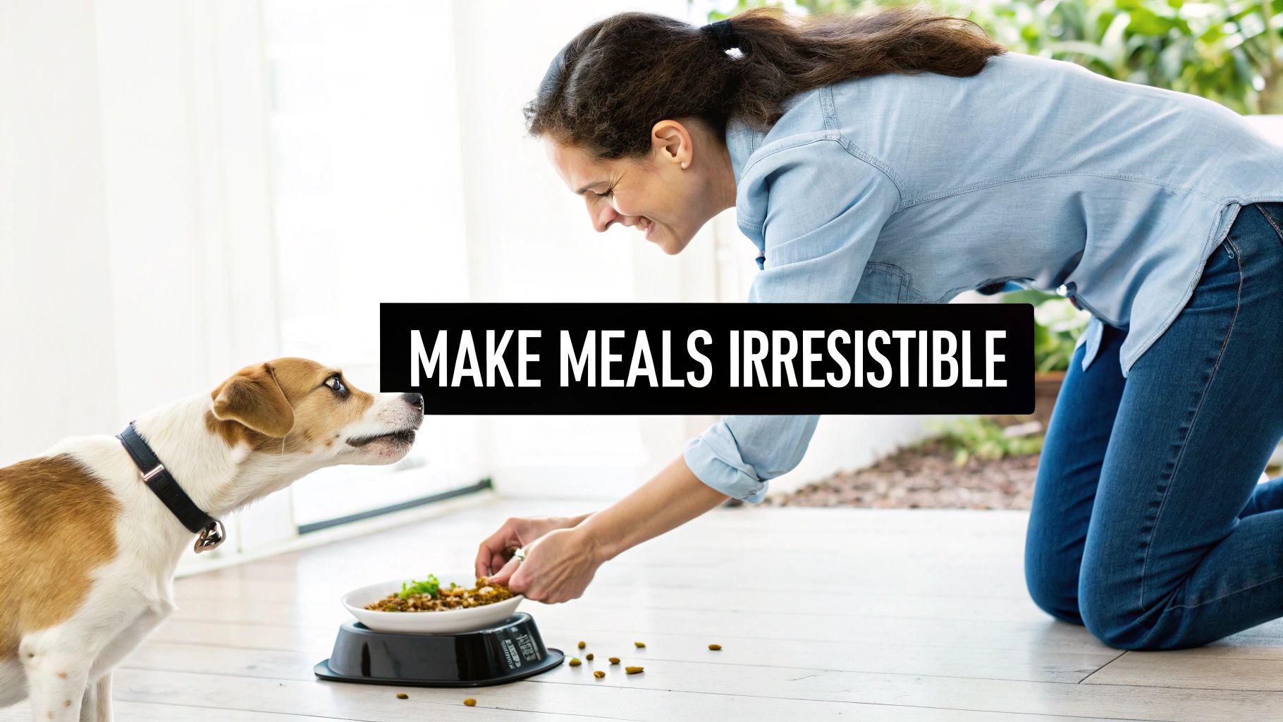 A woman kneels, smiling, as she offers a bowl of food to an eager brown and white dog.