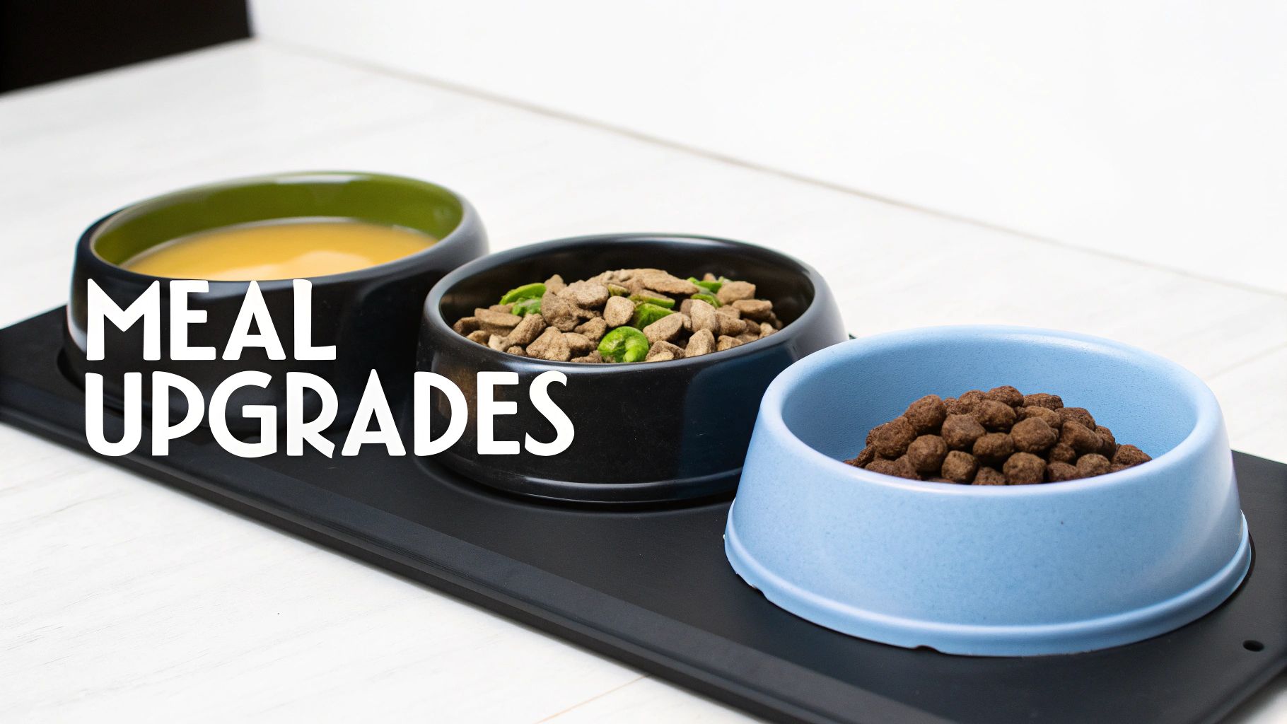 Three pet food bowls on a tray, showing different types of dog food and meal upgrades.