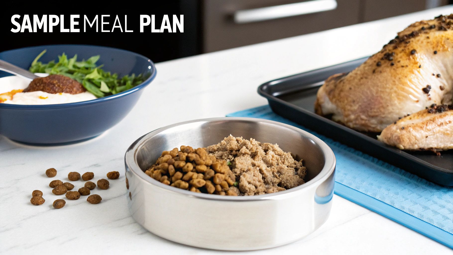 A sample dog meal plan featuring dry kibble, wet food, and roasted chicken on a table.
