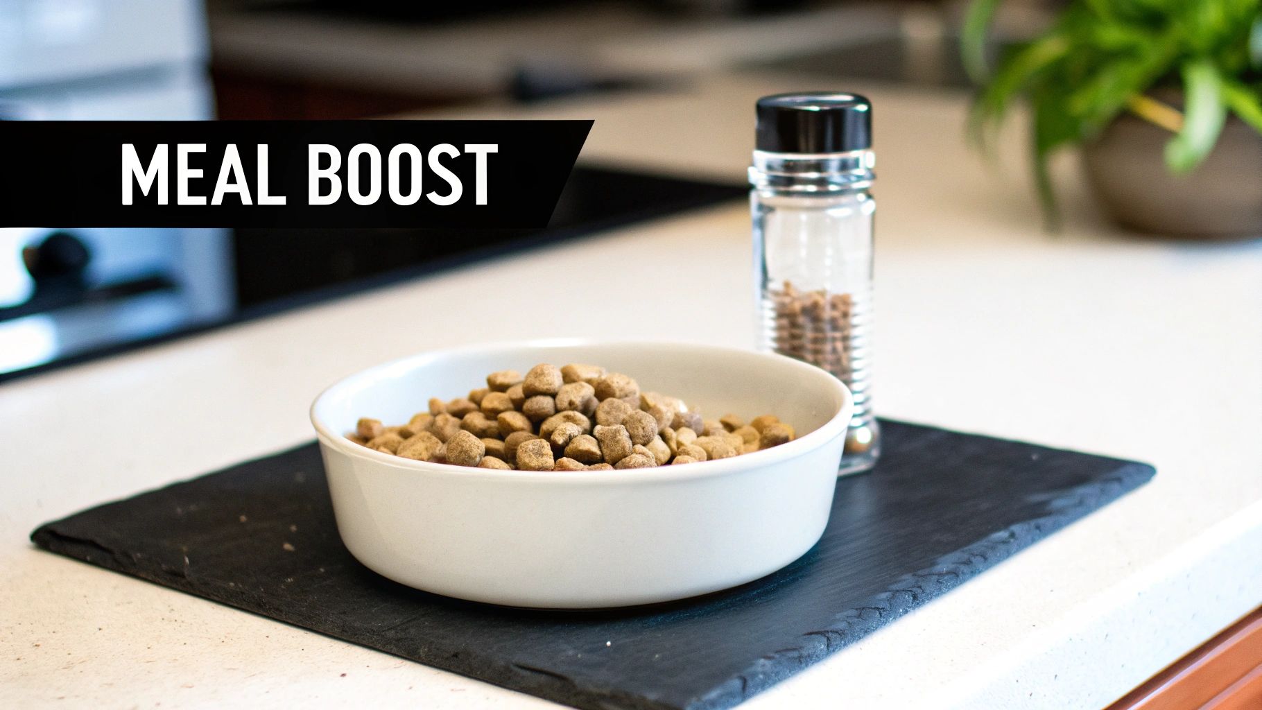 A happy dog eating a bowl of kibble topped with ChowPow.