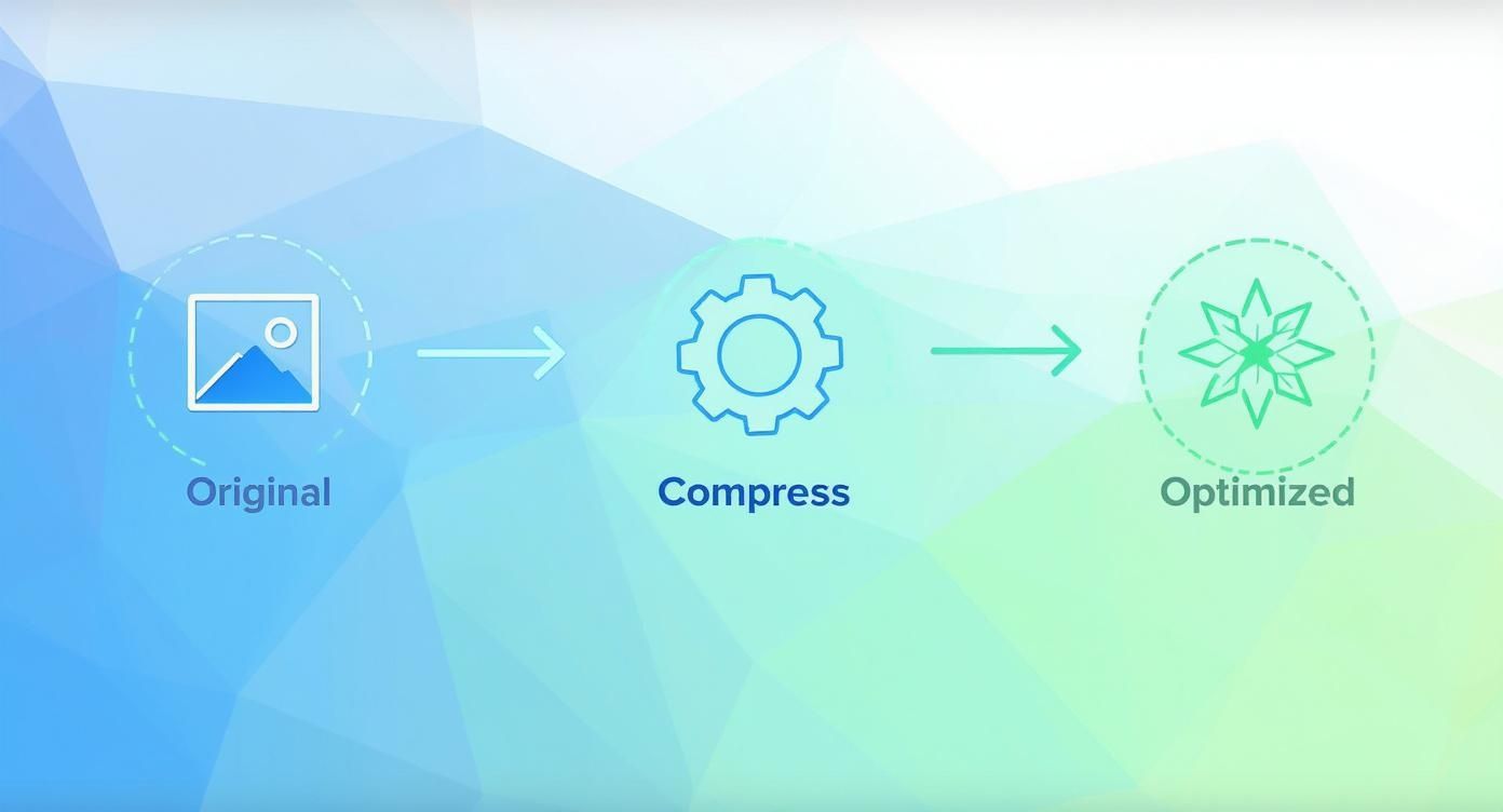 Diagram showing how to optimize images for web from original to compressed.
