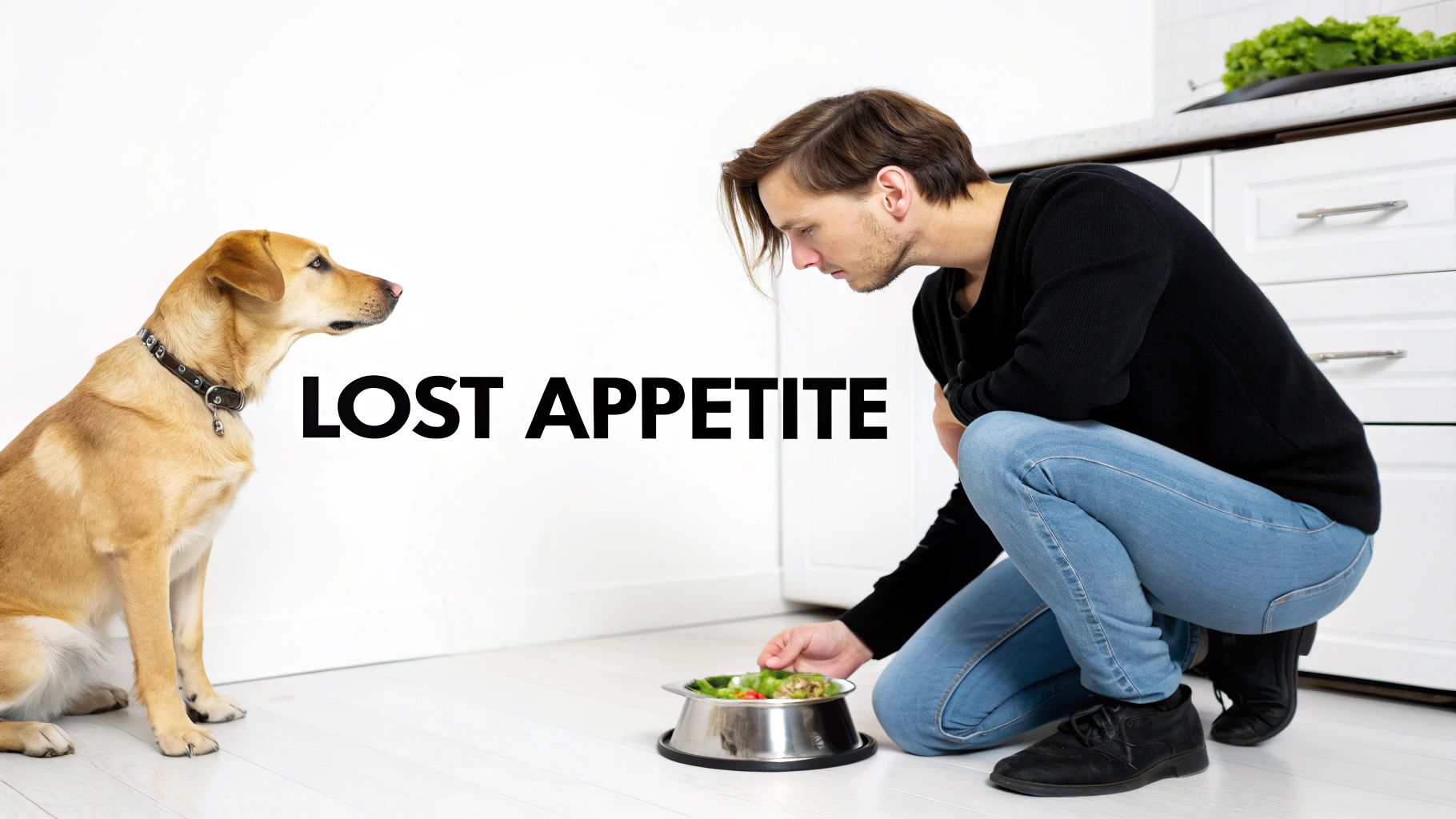 A man offers a bowl of food to an uninterested dog, with text "LOST APPETITE" on a white background.