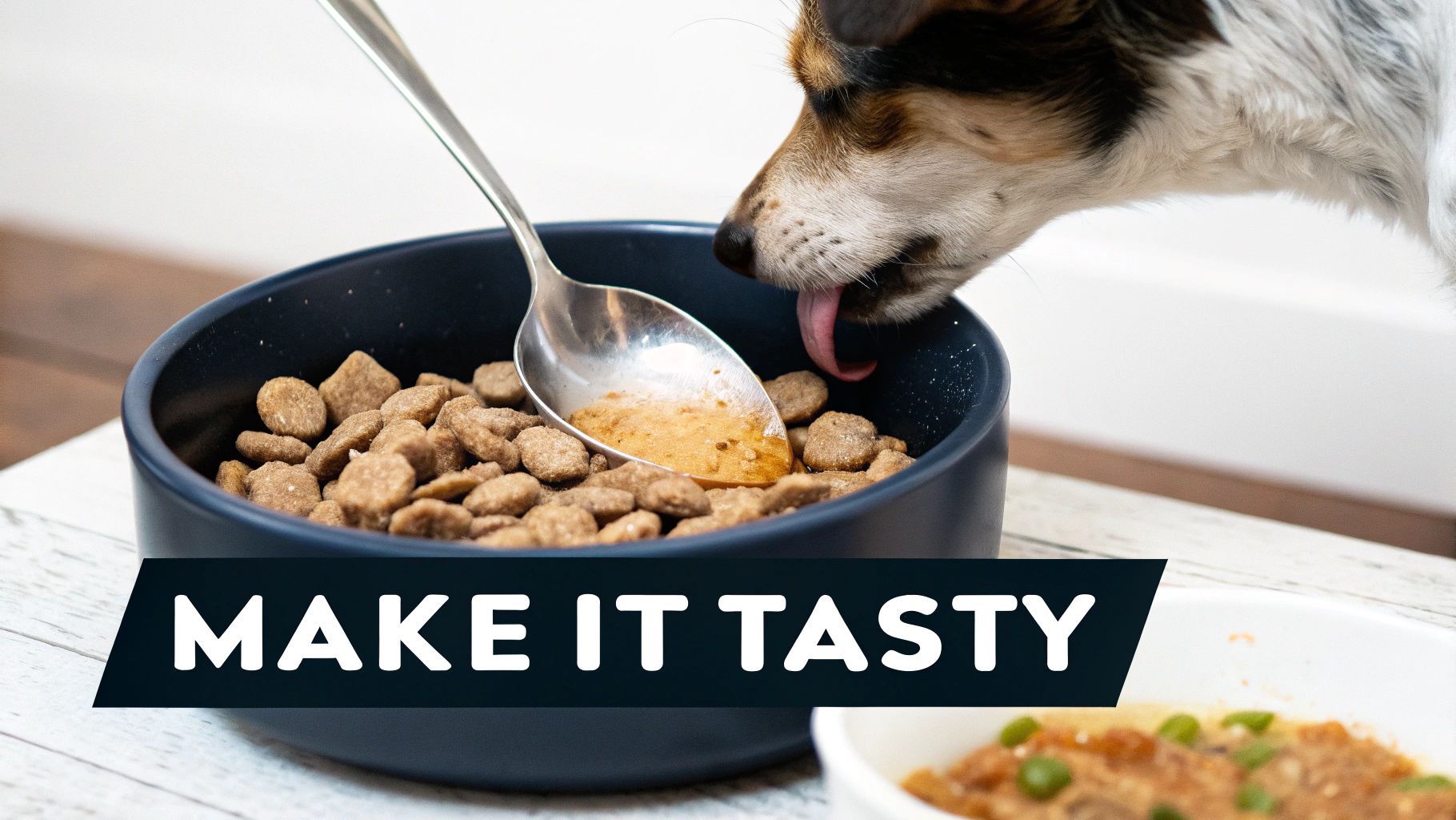 A colorful display of various types of dog food, including kibble, wet food, and raw options, on a store shelf.