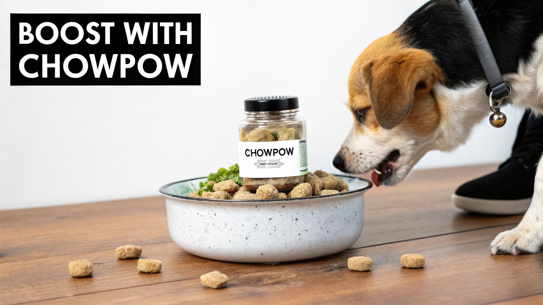 A hand sprinkling ChowPow over a bowl of dog kibble, with the product package visible in the background.