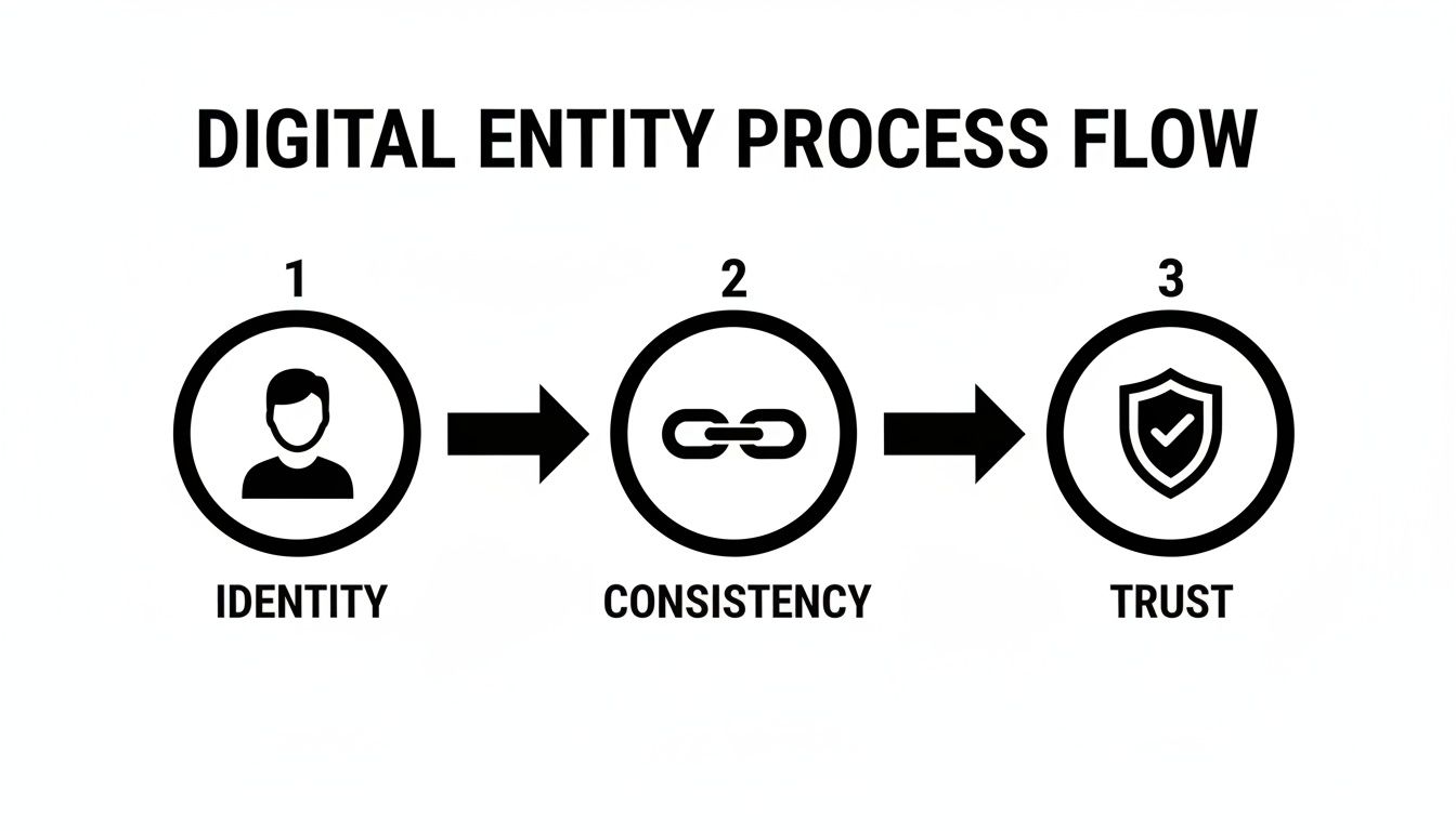 A three-step digital entity management process flow: Identity, Consistency, and Trust, with icons and arrows.
