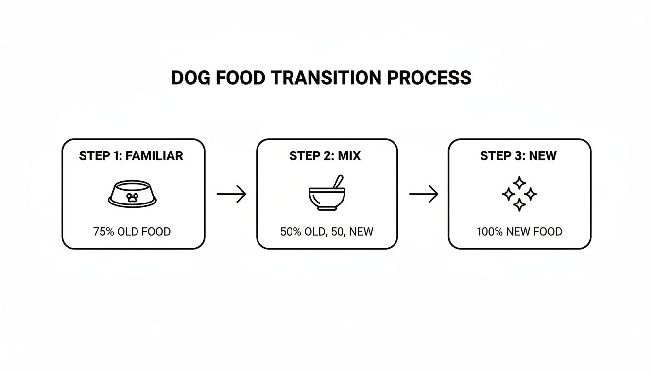 An infographic detailing a three-step dog food transition process from old to 100% new food.